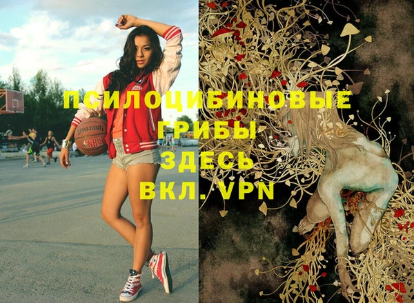 марки nbome Богородицк