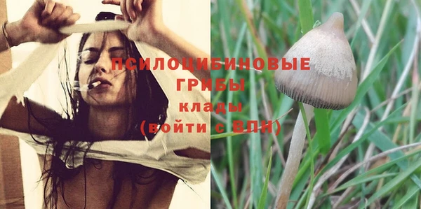 таблы Богданович